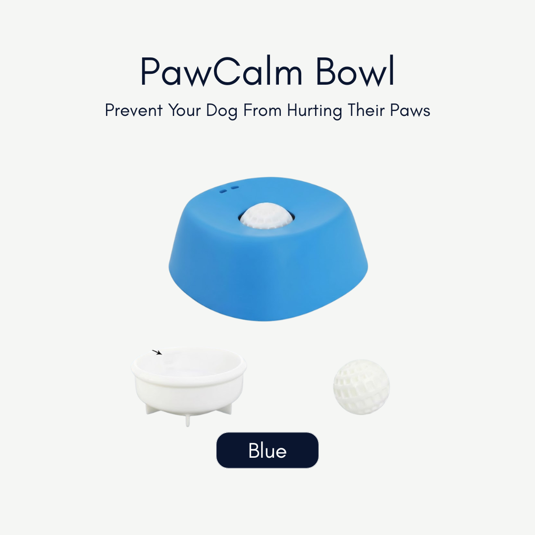 PawCalm Bowl