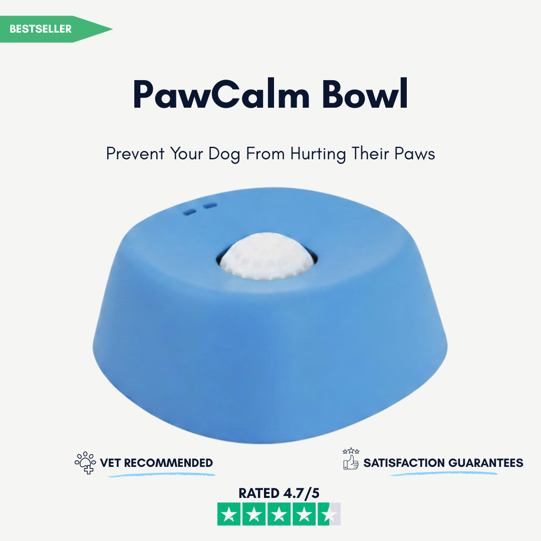 PawCalm Bowl