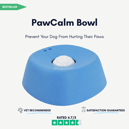 PawCalm Bowl